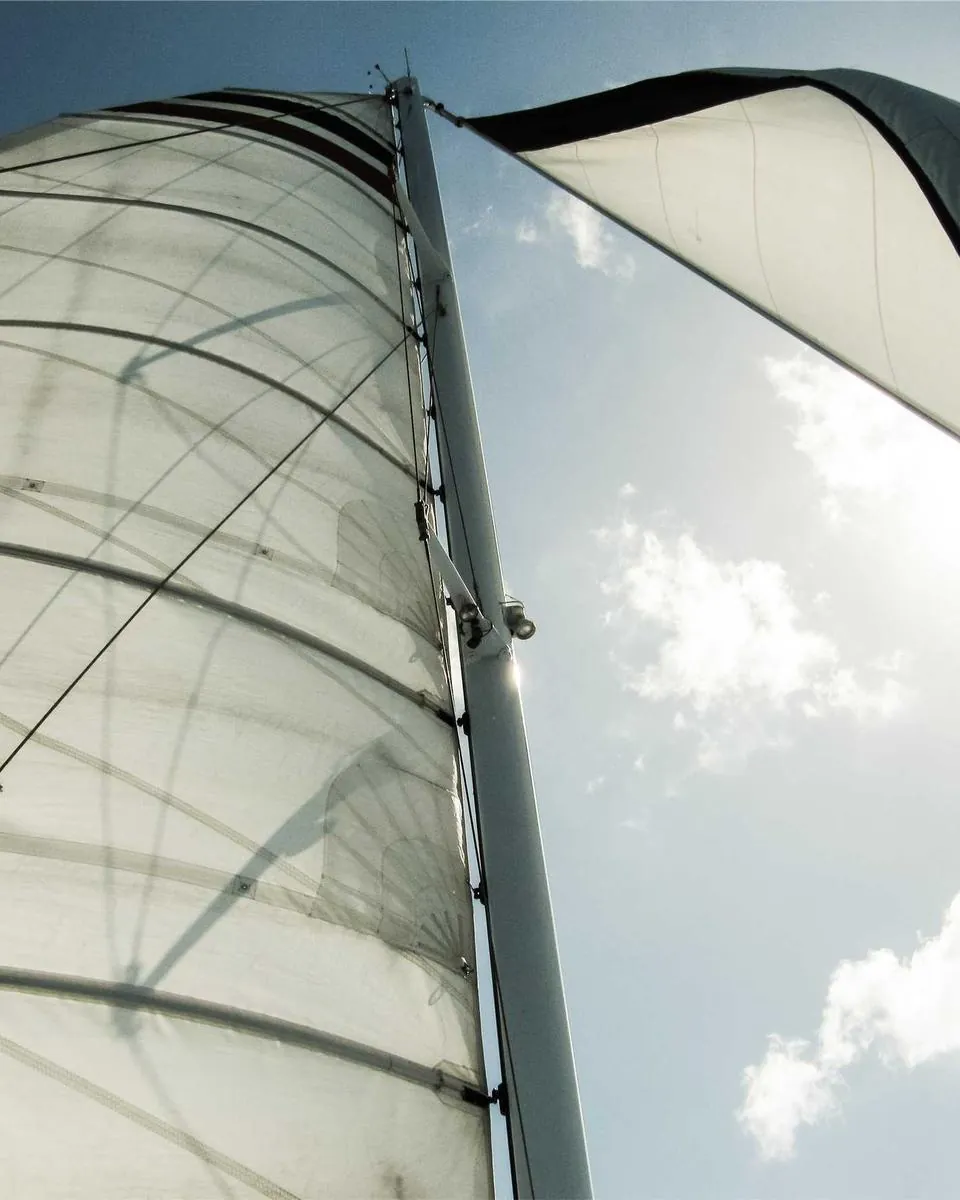 Sweeping white architectural structure under a clear sky